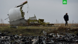 СМИ: Нидерланды не нашли ни одного «Бука» в районе крушения MH17