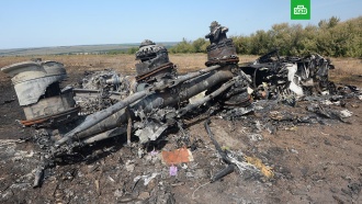 Голландский прокурор заявил о свидетеле запуска «Бука» по MH17