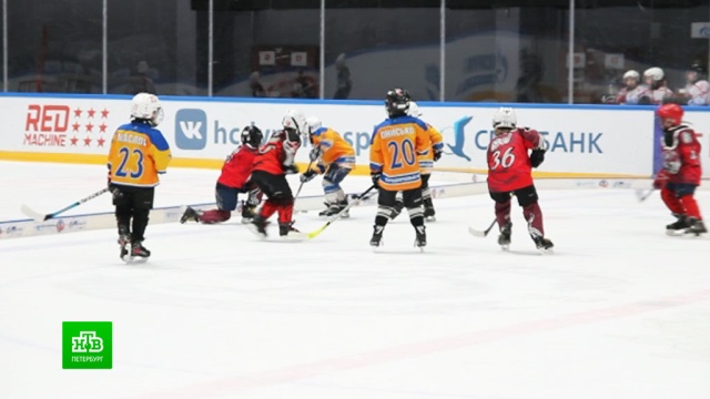 Юные хоккеисты вышли на петербургский лед в честь 23 Февраля.Санкт-Петербург, дети и подростки, спорт, торжества и праздники, хоккей.НТВ.Ru: новости, видео, программы телеканала НТВ