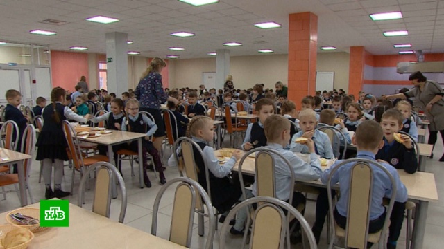 Путин подписал закон о бесплатном горячем питании для младших школьников.Путин, дети и подростки, еда, законодательство, социальное обеспечение, школы.НТВ.Ru: новости, видео, программы телеканала НТВ