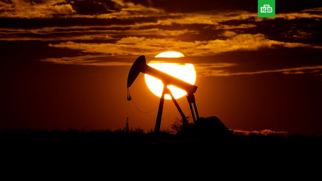 Цена нефти WTI опустилась ниже $9.биржи, нефть, тарифы и цены, экономика и бизнес.НТВ.Ru: новости, видео, программы телеканала НТВ