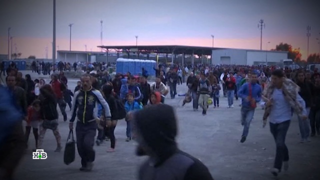 Почему сидящая на карантине Европа продолжает принимать беженцев.Болгария, беженцы, мигранты, Германия, карантин, Европа, болезни, эпидемия, коронавирус.НТВ.Ru: новости, видео, программы телеканала НТВ