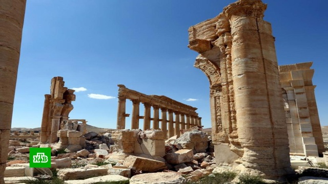 Список потерь огромен: как выглядит Пальмира через 5 лет после атаки боевиков.Исламское государство, Сирия, археология, терроризм, памятники.НТВ.Ru: новости, видео, программы телеканала НТВ