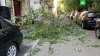 Десятки деревьев и автомобилей повреждены из-за непогоды в Москве Москва, погода, погодные аномалии.НТВ.Ru: новости, видео, программы телеканала НТВ