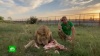 Суд оштрафовал владельца парка «Тайган» за укушенную львом клиентку