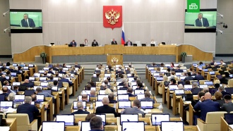 Законопроект о признании отчуждения территорий РФ экстремизмом принят в первом чтении