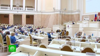 Парламент Петербурга не разрешил отказываться от общественных слушаний и ушел на каникулы