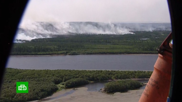 Масштабы бедствия поражают: в Якутии леса горят даже за полярным кругом.Якутия, лесные пожары.НТВ.Ru: новости, видео, программы телеканала НТВ