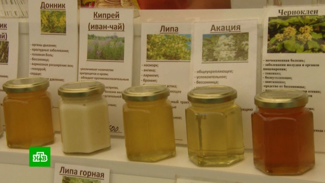 Коломенская ярмарка готова удивить экзотическими сортами меда.Москва, мед, торговля, ярмарки и рынки.НТВ.Ru: новости, видео, программы телеканала НТВ