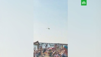 Нашествие стрекоз на пляже Анапы