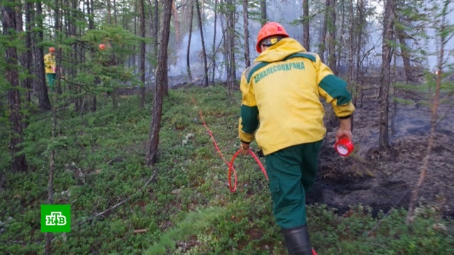 Спасатели направленными взрывами пытаются остановить пожары в Якутии.Якутия, лесные пожары.НТВ.Ru: новости, видео, программы телеканала НТВ