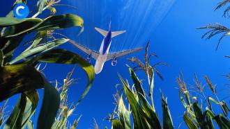 Посадка в кукурузу: годовщина аварии А321