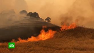 В Калифорнии насчитали 11 тысяч ударов молнии и более 360 лесных пожаров