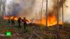 В Сибири зафиксировали второй пик лесных пожаров