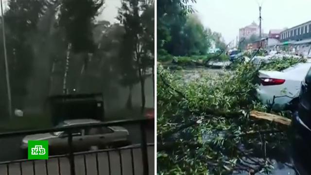 В Москве из-за непогоды повреждено более 40 автомобилей.Москва, наводнения, погода, погодные аномалии.НТВ.Ru: новости, видео, программы телеканала НТВ