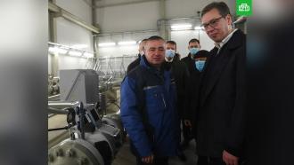 Сербия начала получать российский газ по «Турецкому потоку»
