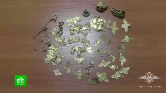 Полиция Петербурга поймала похитителя археологических ценностей