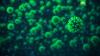 Ученые заявили об отсутствии новых штаммов коронавируса в РФ