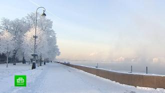 Петербург окутал морозный туман