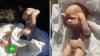 Выдавшую кукол за мертвых детей дагестанку проверят психиатры