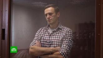 Суд готовится вынести приговор Навальному по делу о клевете в отношении ветерана