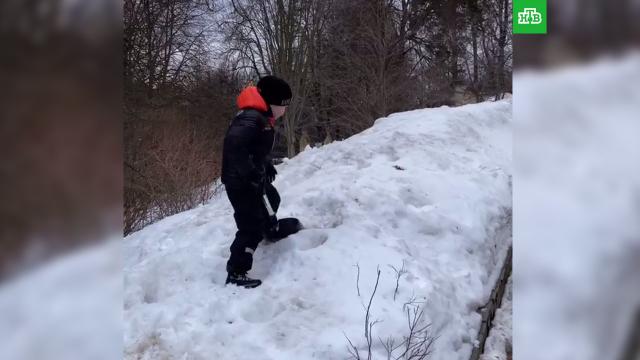 Сын Галкина и Пугачевой остался один убирать снег на морозе.НТВ.Ru: новости, видео, программы телеканала НТВ