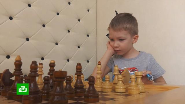 Пятилетний шахматист добился добился третьего юношеского разряда вопреки правилам.Томск, дети и подростки, спорт, шахматы.НТВ.Ru: новости, видео, программы телеканала НТВ