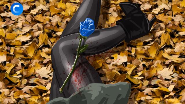 Синяя роза — эмблема убийства.НТВ.Ru: новости, видео, программы телеканала НТВ