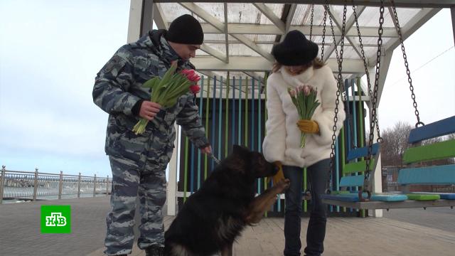 В Калининграде женщин с 8 Марта поздравили кинологи с собаками.8 Марта, МКС, женщины, торжества и праздники.НТВ.Ru: новости, видео, программы телеканала НТВ