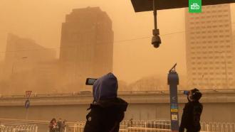 Пекин накрыла первая в году масштабная песчаная буря