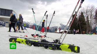 В Сочи появится единый свод правил для горнолыжников и инструкторов