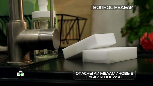 Точка кипения: все о термопотах.НТВ.Ru: новости, видео, программы телеканала НТВ