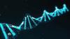 Чем может обернуться мода на тесты ДНК