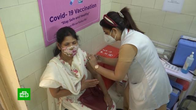 Индия одобрила российскую вакцину «Спутник V».Индия, болезни, вакцинация, прививки, эпидемия, коронавирус.НТВ.Ru: новости, видео, программы телеканала НТВ