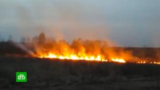 Поджоги сухой травы стали причиной пожаров в российских регионах