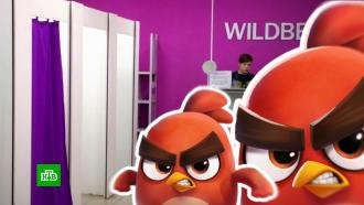 Разработчик Angry Birds подал в суд на Wildberries