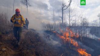 В Тюменской области объявили режим ЧС <nobr>из-за</nobr> лесных пожаров
