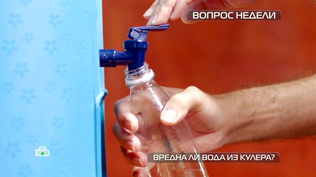 Безопасна ли вода из кулера?НТВ.Ru: новости, видео, программы телеканала НТВ