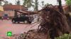 На Индию обрушился смертоносный ураган: видео