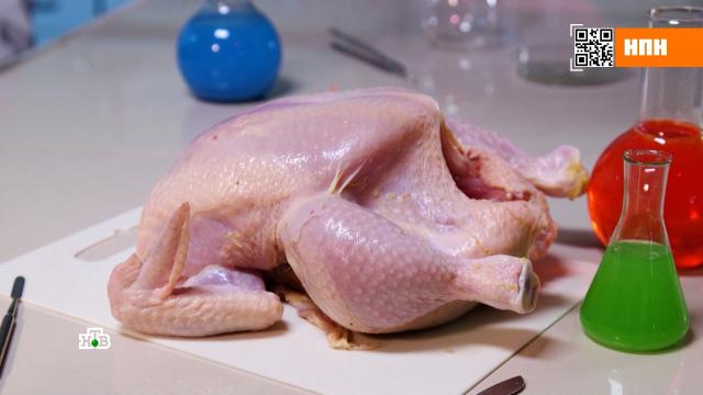 Раскормлены запрещенными антибиотиками: какая марка цыплят-бройлеров провалила экспертизу.еда, здоровье, мясо, птичий грипп.НТВ.Ru: новости, видео, программы телеканала НТВ
