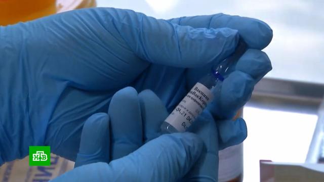 В России испытывают комбинированную вакцину от COVID-19 и гриппа.грипп и ОРВИ, коронавирус, медицина, прививки.НТВ.Ru: новости, видео, программы телеканала НТВ