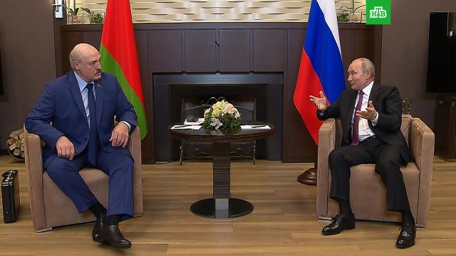 Путин предложил Лукашенко искупаться в море.Лукашенко, Путин, Сочи, переговоры.НТВ.Ru: новости, видео, программы телеканала НТВ