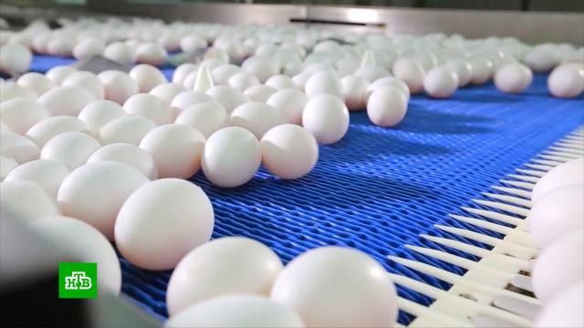 Минсельхоз предложил производителям способ избежать дефицита яиц.Минсельхоз РФ, продукты, тарифы и цены.НТВ.Ru: новости, видео, программы телеканала НТВ