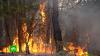 За сутки в Якутии загорелось еще 70 тыс. гектаров леса