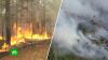 Площадь пожаров в Карелии превысила 6,5 тыс. га