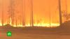 Карельский поселок оказался в кольце лесных пожаров