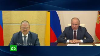 Путин обсудил с врио главы Пензенской области инвестиции в регион