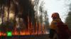 Военные стягивают дополнительные силы для борьбы с лесными пожарами в Якутии
