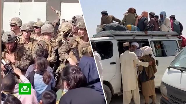Эвакуация затягивается: в аэропорту Кабула по-прежнему царит хаос.Афганистан, Великобритания, НАТО, США, беженцы, войны и вооруженные конфликты.НТВ.Ru: новости, видео, программы телеканала НТВ