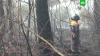 В Нижегородской области и Мордовии ввели режим ЧС из-за пожаров